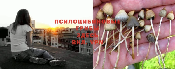 ECSTASY Алексин