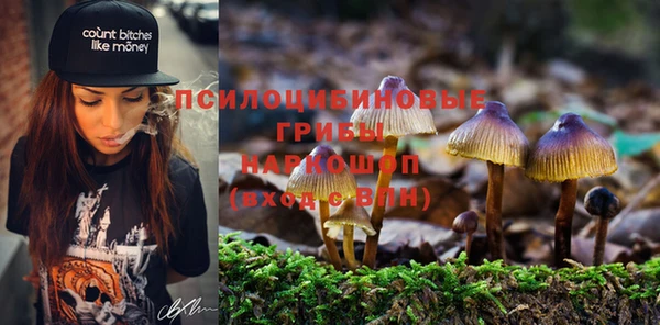 шишки Алзамай