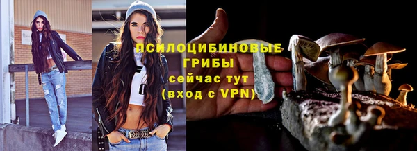 шишки Алзамай