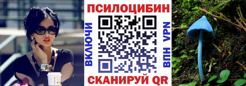 MEGA tor  Ликино-Дулёво  Псилоцибиновые грибы мухоморы 
